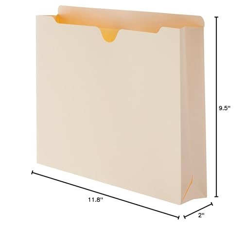 Basics Reinforced File Jackets, Letter Size, Straight-Cut Tab, 2 Inch Set