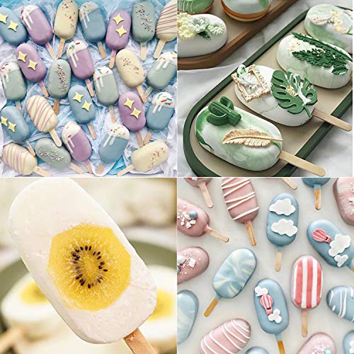 Eco-Friendly Popsicles Molds, Ozera 2 Pack Homemade Cake Pop Molds, for Daily Use