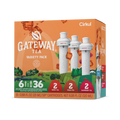 Zero-Calorie Gateway Tea 6-Pack Variety Pack HM0F - Vitamin-Infused Natural Refreshing Flavor Core - Default Title